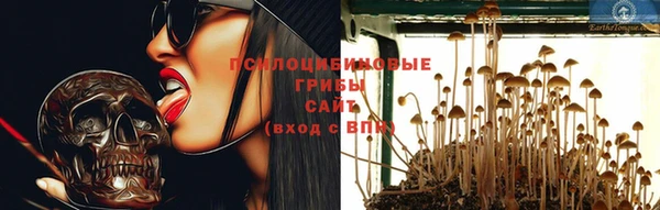 прущие грибы Михайлов