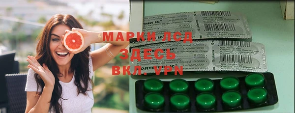 прущие грибы Михайлов