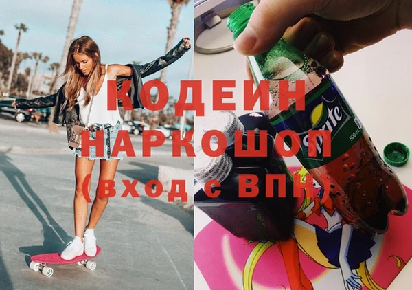 прущие грибы Михайлов