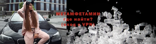 прущие грибы Мегион