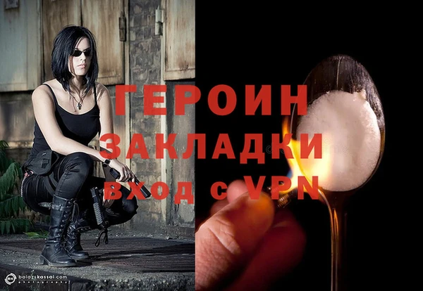 прущие грибы Михайлов