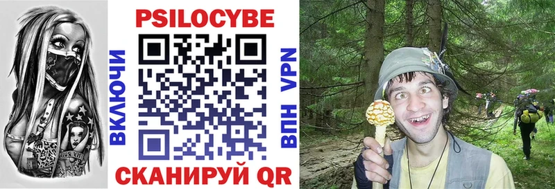 Псилоцибиновые грибы Psilocybe  купить наркотик  Омутнинск 